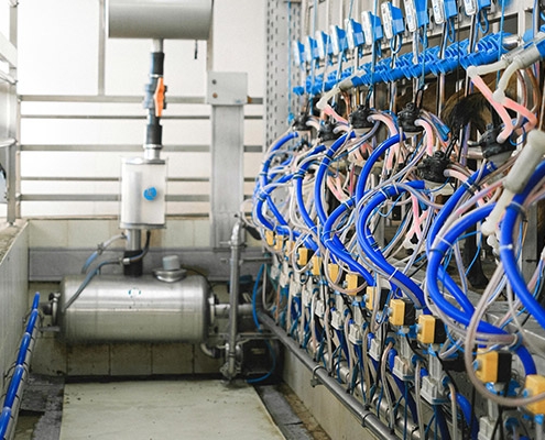 Food Grade Hose Guide