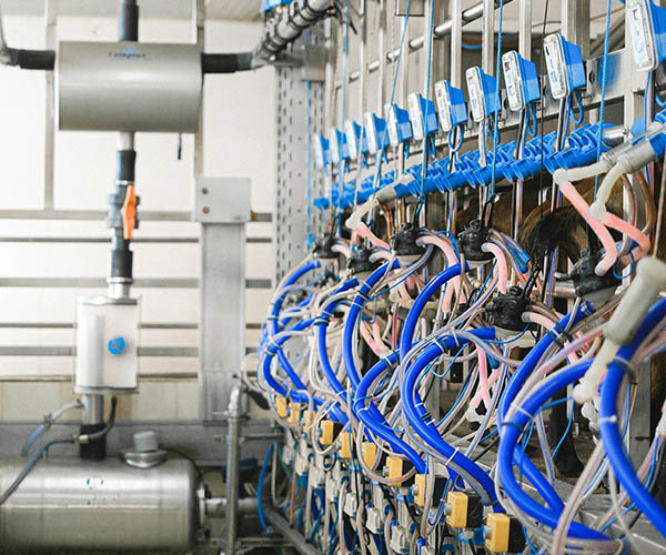 Food Grade Hose Guide Food Grade Hose Guide