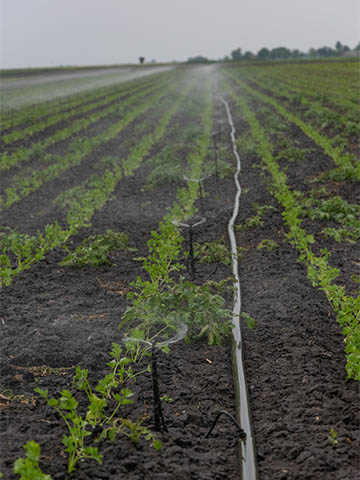 Water Supply & Irrigation Systems Water Supply & Irrigation Systems