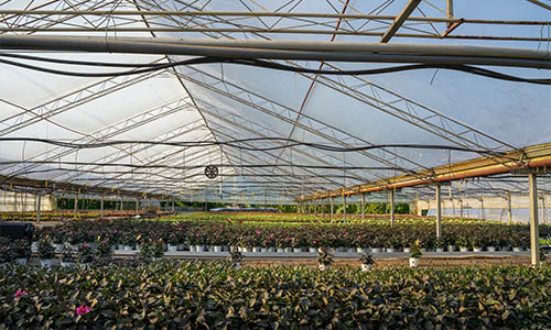 Greenhouse Irrigation Systems