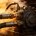 Which Hose Material is Best for High Temperature and High Pressure